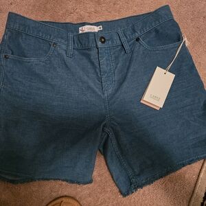 Carve Design shorts NWT